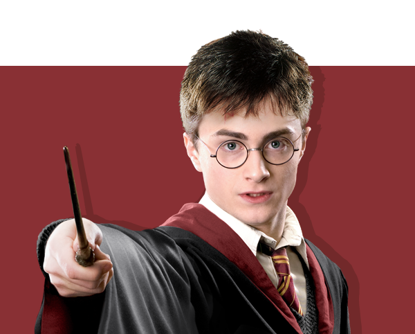 Harry Potter - Arditex S.A.